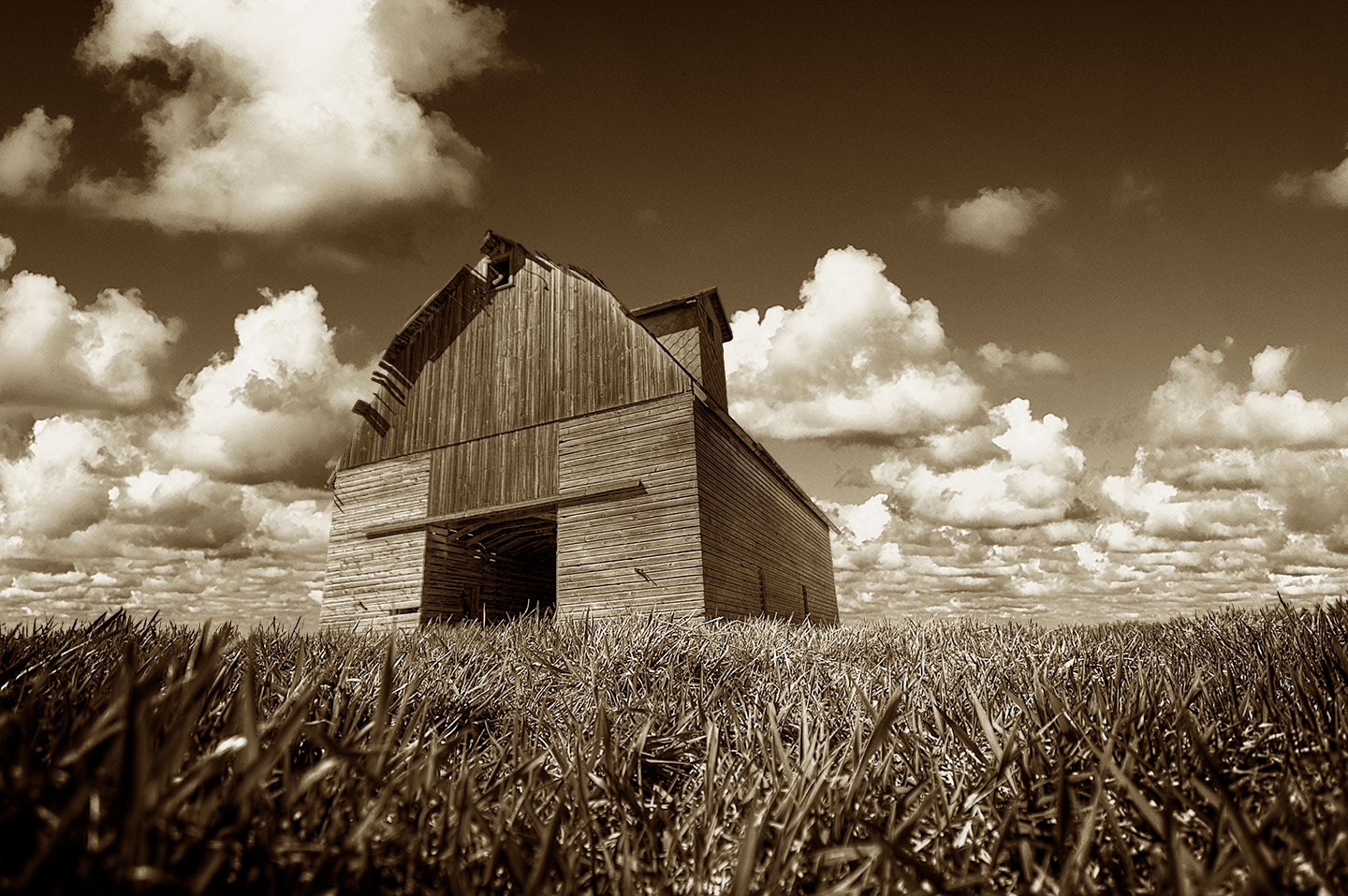 IMG_8246_7_8_tonemapped2