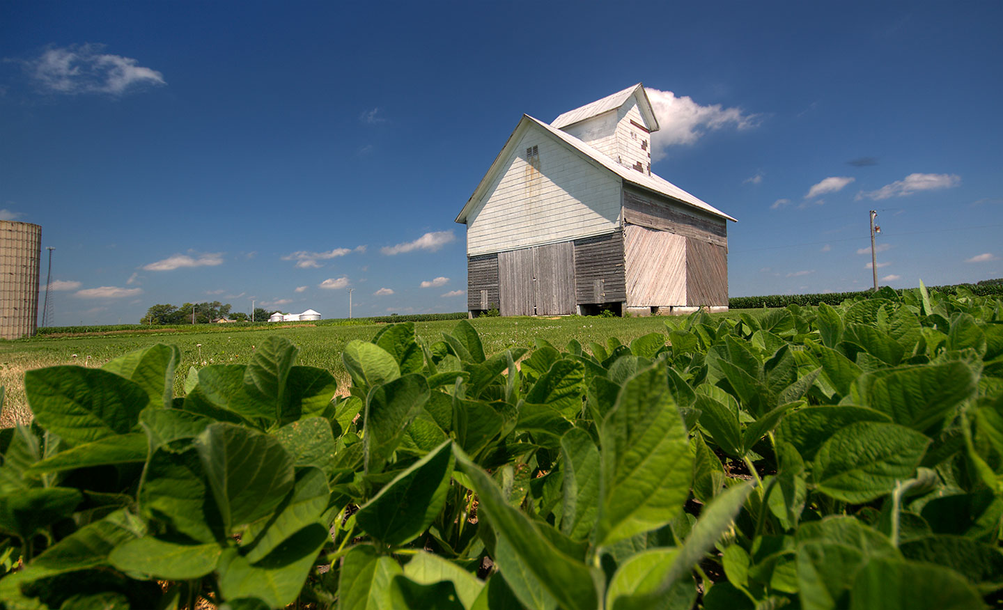 Barn