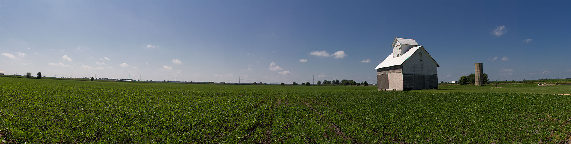 Barn and soybean field
