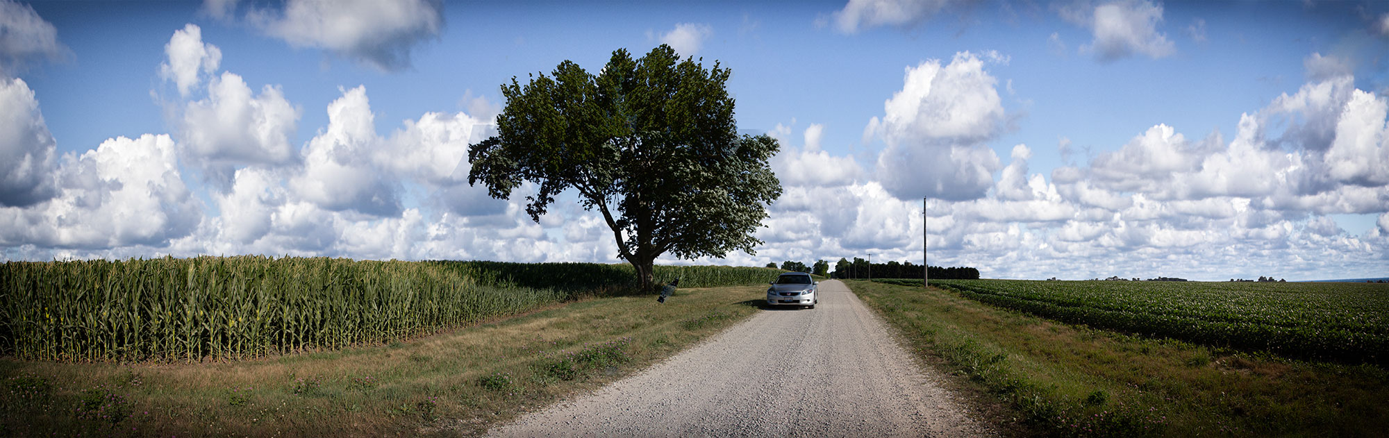 panorama_soyfield2