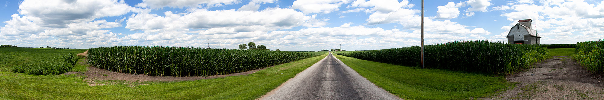 summer_illinois_fields_cropped